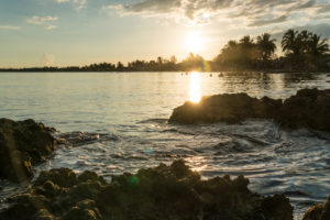 light sundown with view over the sea on palms, Cuba light sundown with view over the sea on palms, Cuba